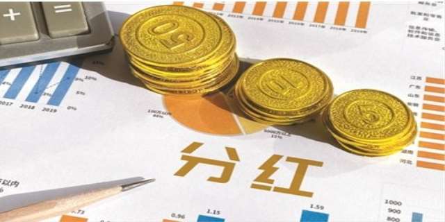 保险理财分红(保险理财分红险有什么风险)