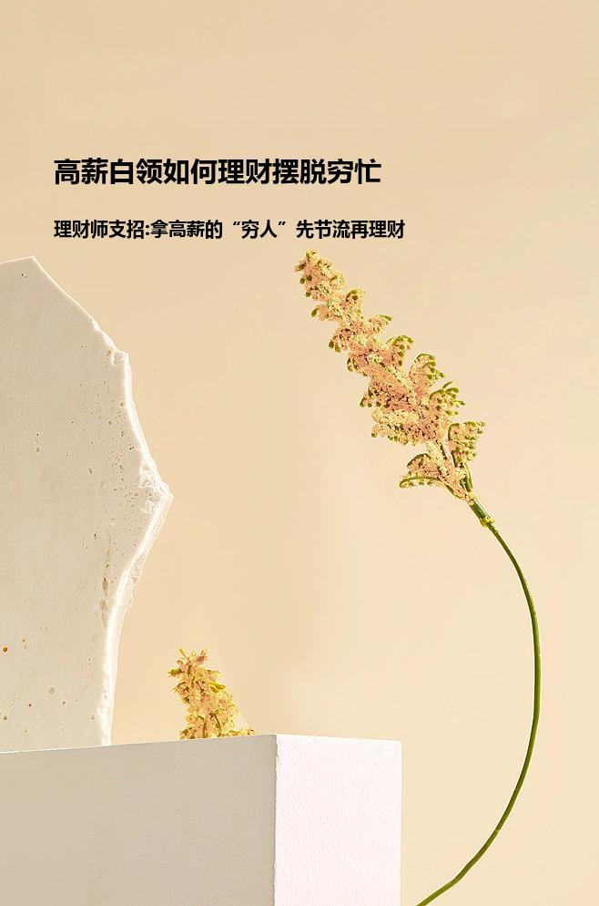 理财支招(支付 理财)