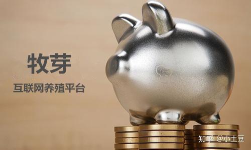 多元理财(理财产品多样化)